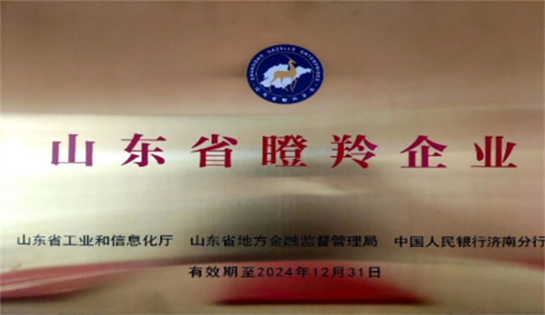 慶祝深藍機器榮獲山東省2021年度“瞪羚企業(yè)”榮譽稱號 慶祝深藍機器榮獲山東省2021年度“瞪羚企業(yè)”榮譽稱號